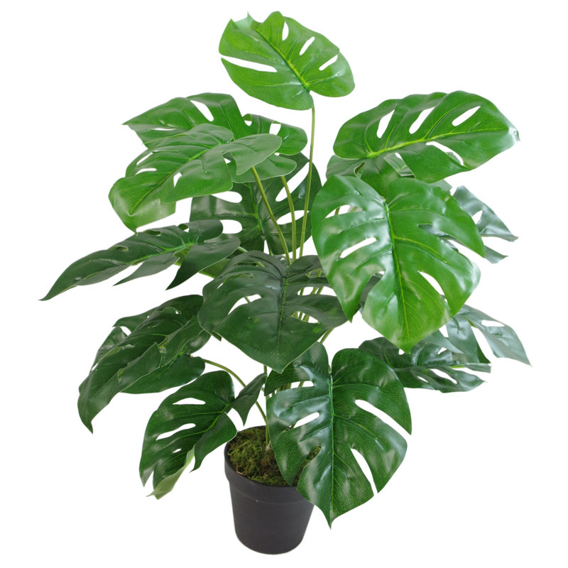 The Seasonal Aisle Artificial Foliage Plant in Pot Liner & Reviews